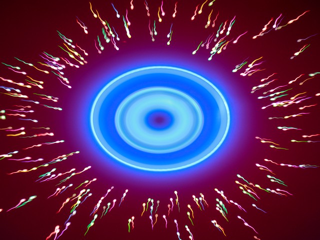 Stressing Out About Life - Destroying Sperm